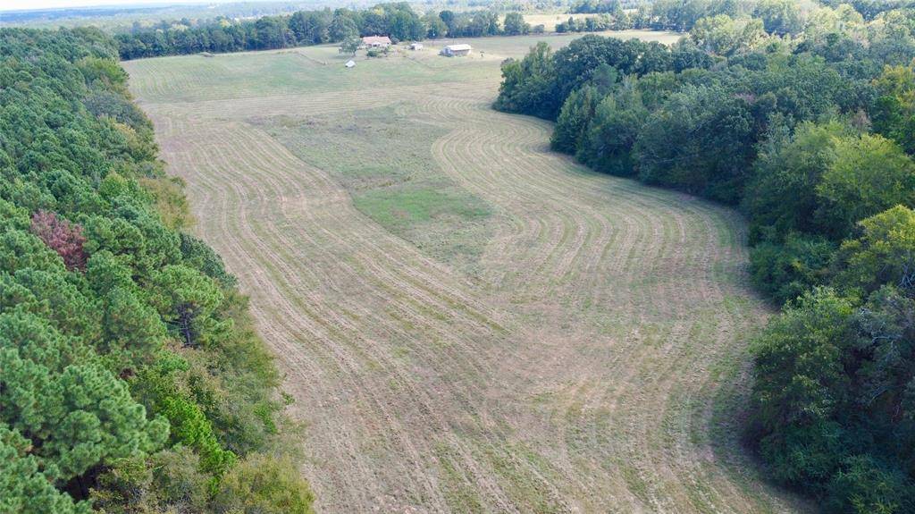 Naples, TX 75568,TBD CR 2737