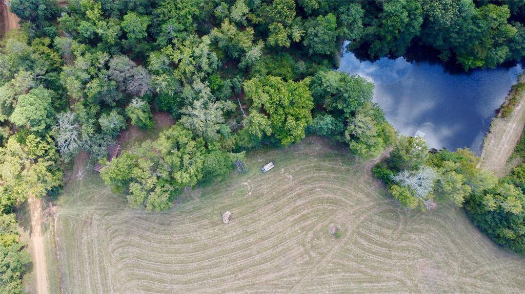 Naples, TX 75568,TBD CR 2737