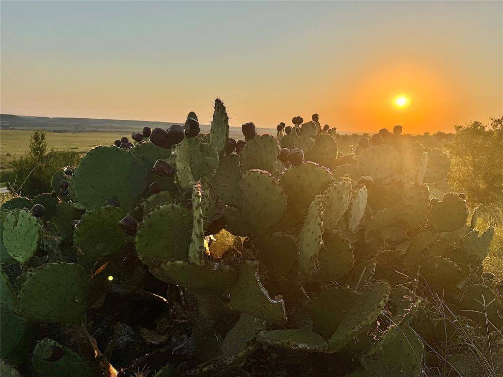 Glen Rose, TX 76690,2626 County Road 2015