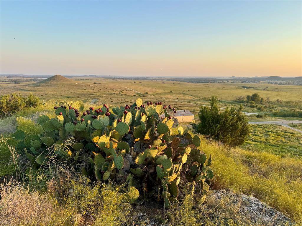 Glen Rose, TX 76690,2626 County Road 2015