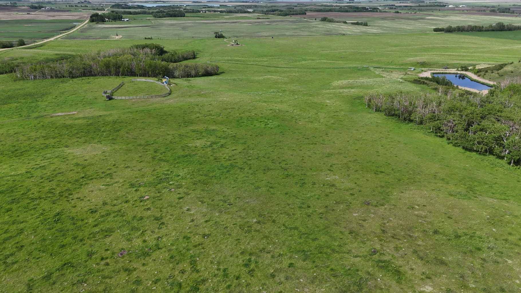 Rural Ponoka County, AB T4J 1R1,On Township Road 431