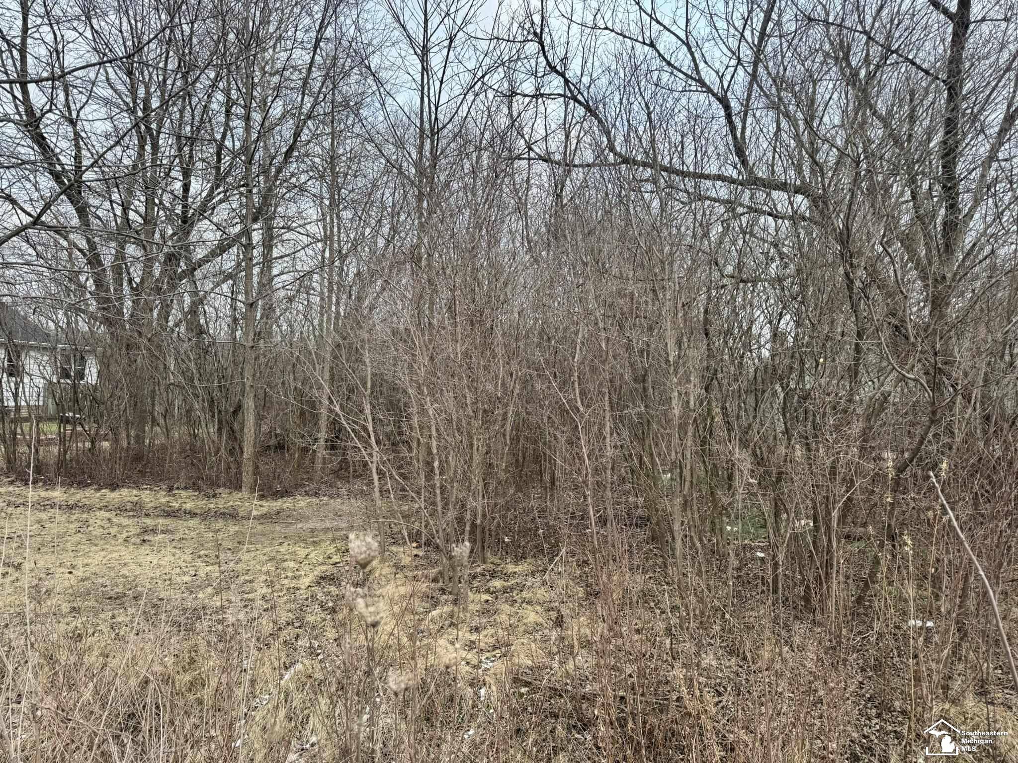 Brownstown Twp, MI 48173,000 W Jefferson AVE