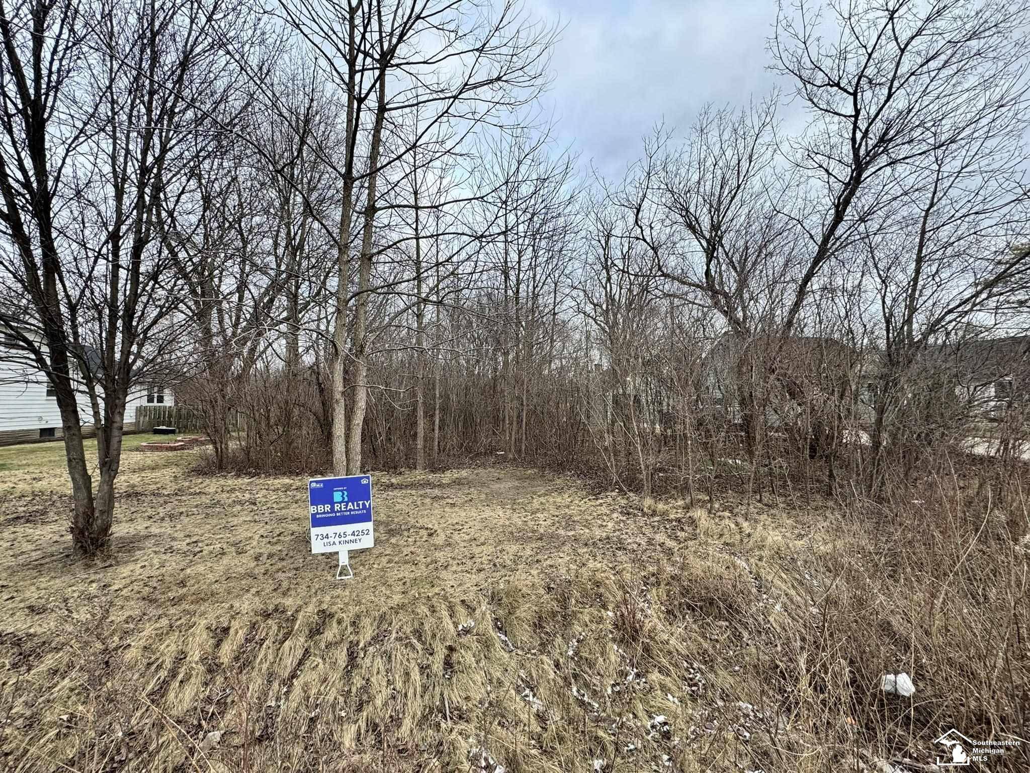 Brownstown Twp, MI 48173,000 W Jefferson AVE