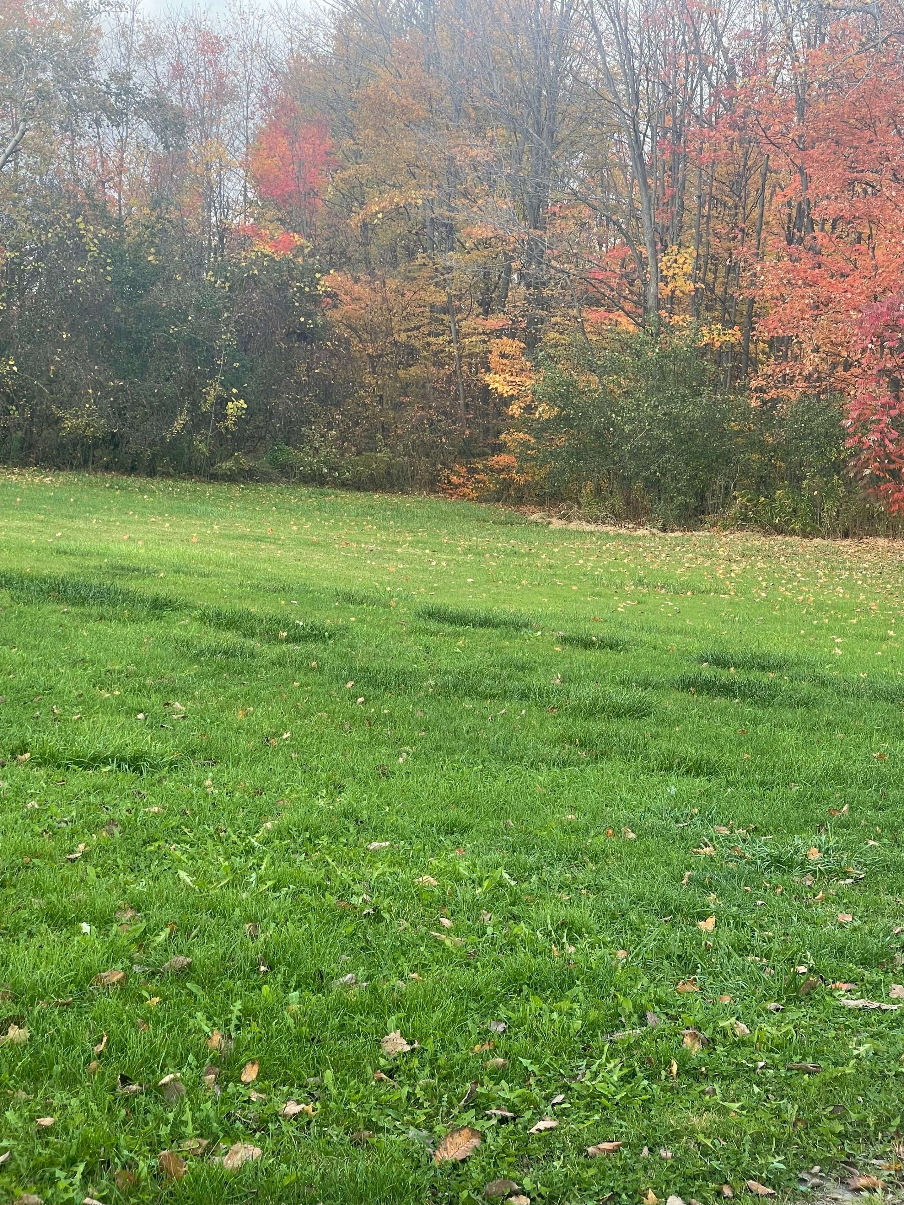 Caledon, ON L7E 5R7,14726 Caledon King Townline Line