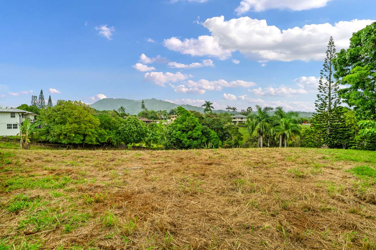 HAUIKI RD #1, Kapaa, HI 96746