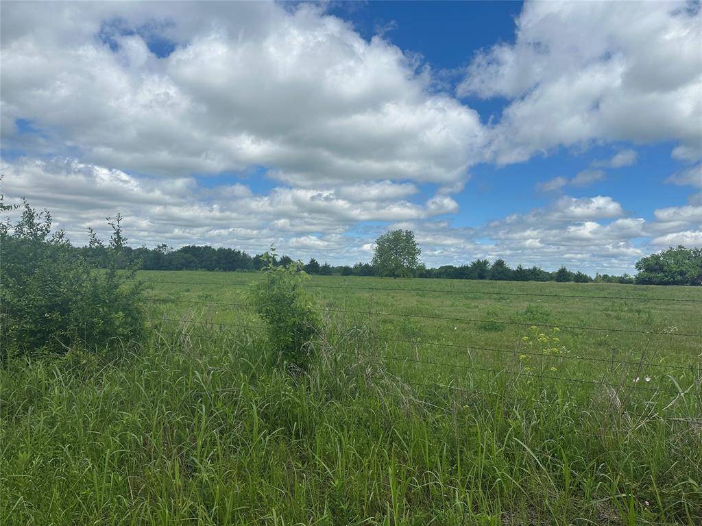 Ravenna, TX 75476,Lot 10 County Road 1400