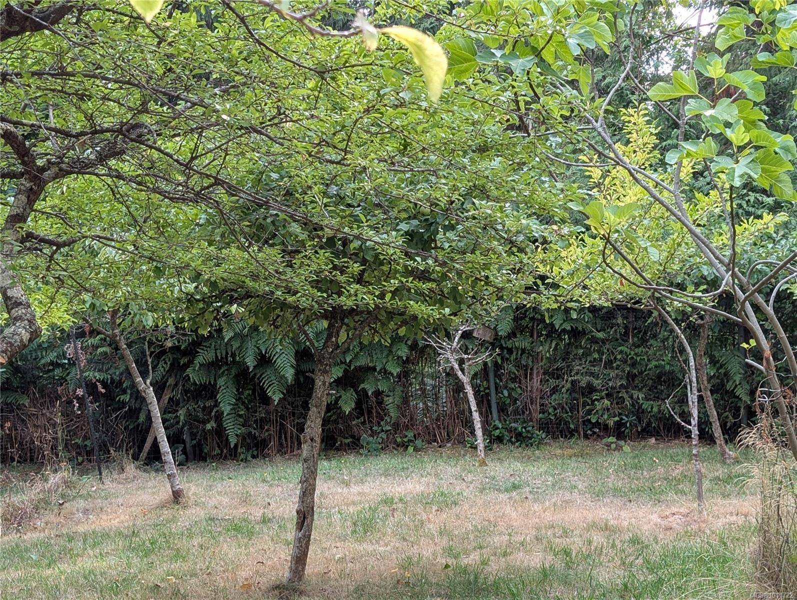 Gabriola Island, BC V0R 1X1,Lt 16 Berry Point Rd