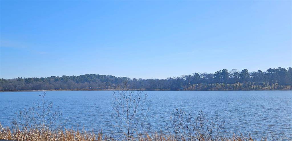 Tyler, TX 75707,13311 White Tail Drive #1