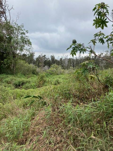 Ocean View, HI 96737,CATAMARAN LN