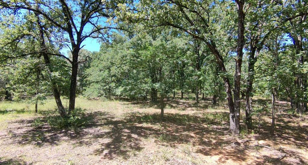 Alba, TX 75410,Lot 19 Saddle Creek Ct.
