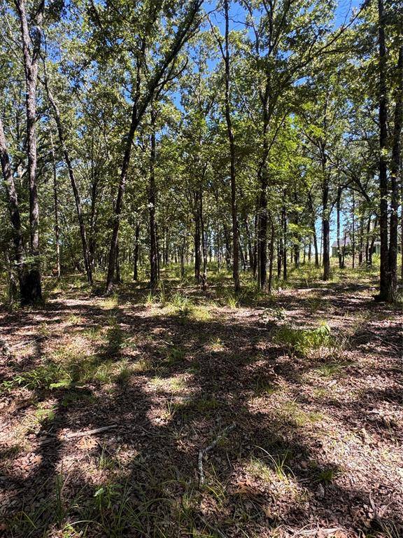 Alba, TX 75410,Lot 19 Saddle Creek Ct.