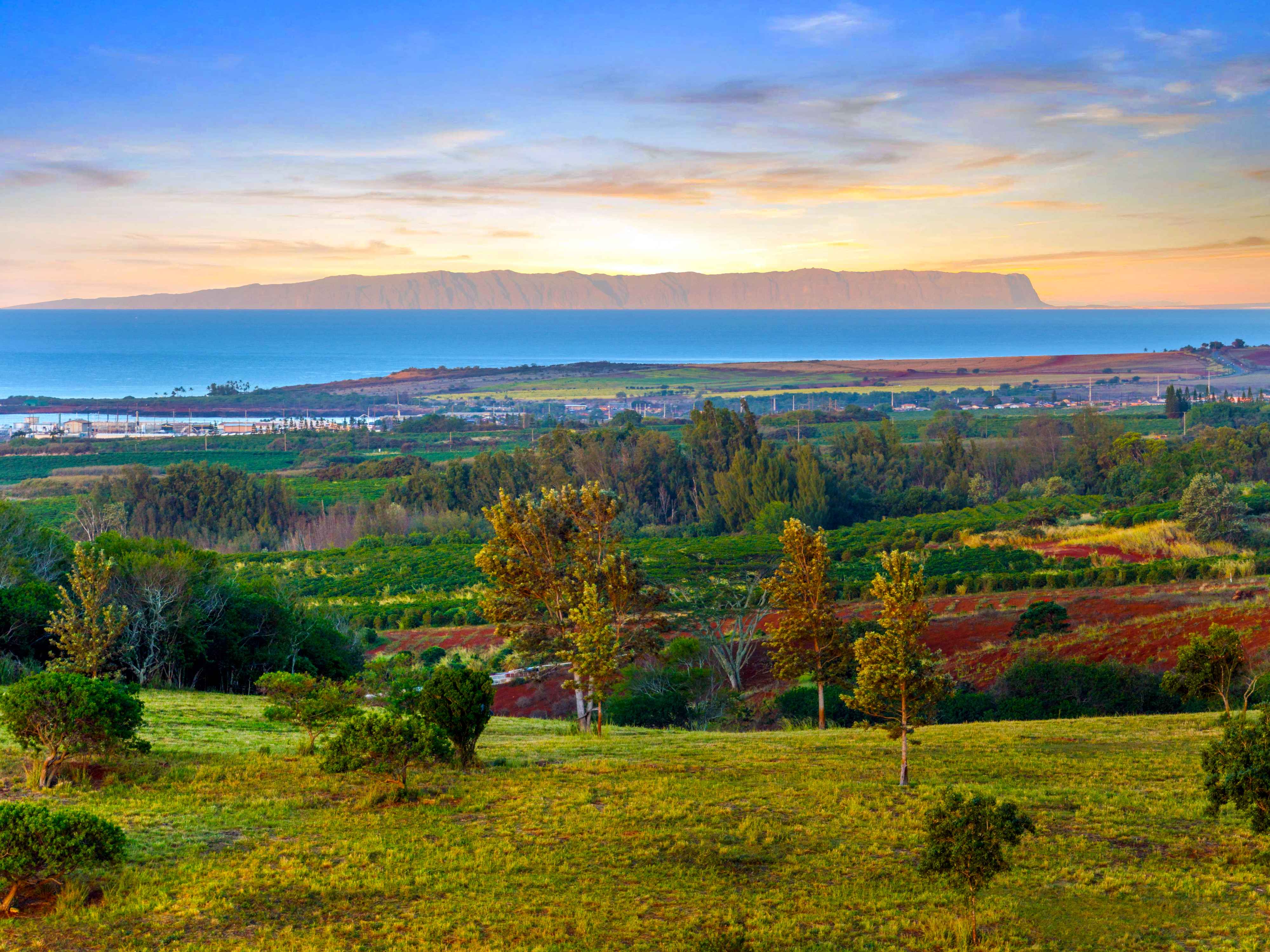 Kalaheo, HI 96741,3 LOLO RD