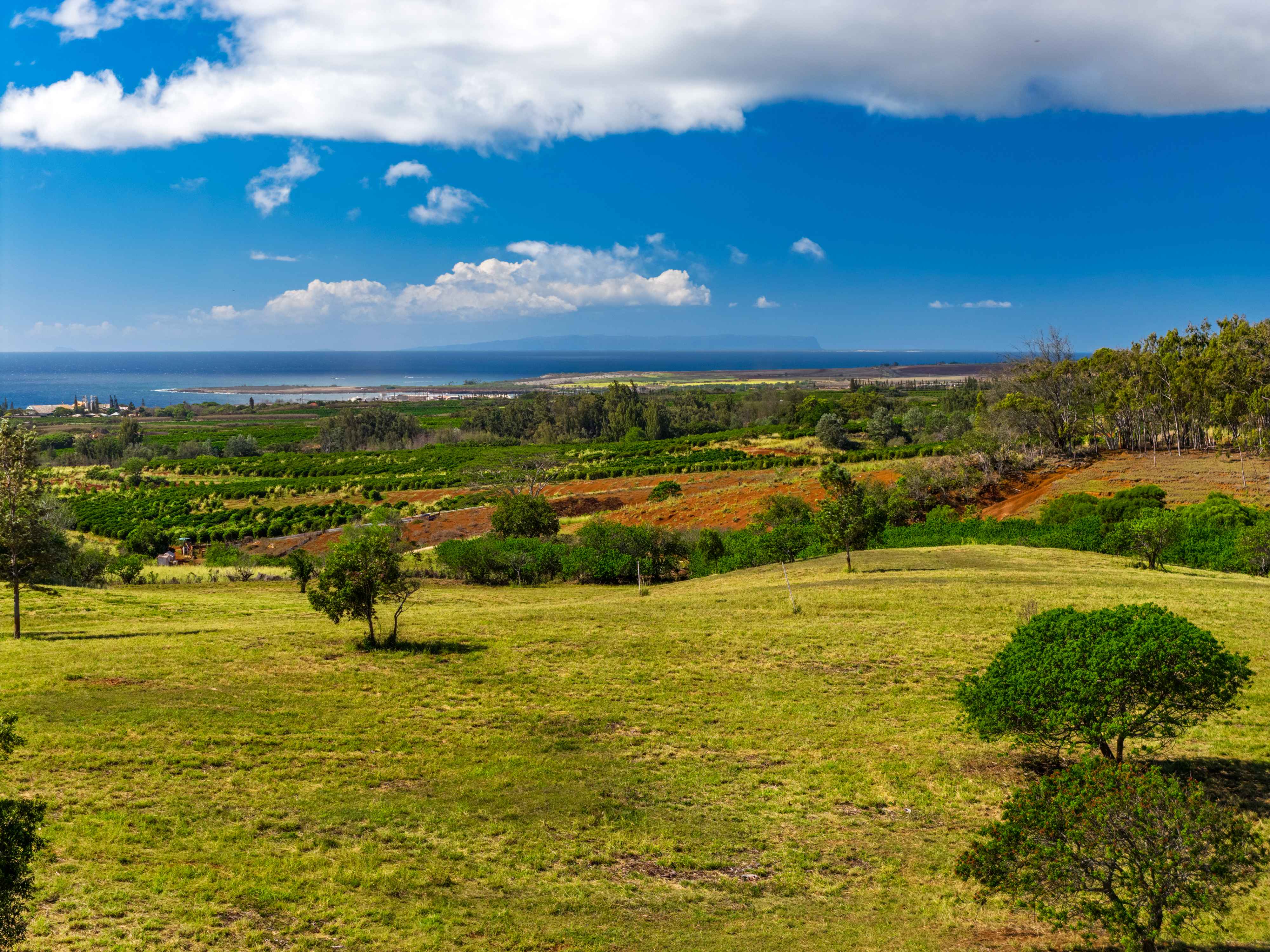 Kalaheo, HI 96741,3 LOLO RD