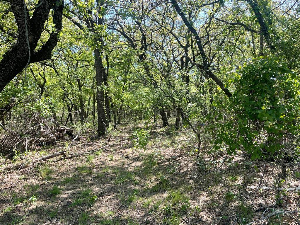 Azle, TX 76020,TBD Griffin St Griffin Street