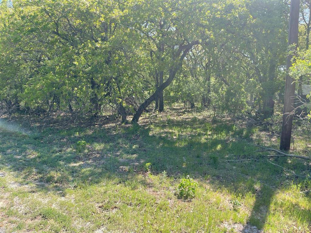 Azle, TX 76020,TBD Griffin St Griffin Street