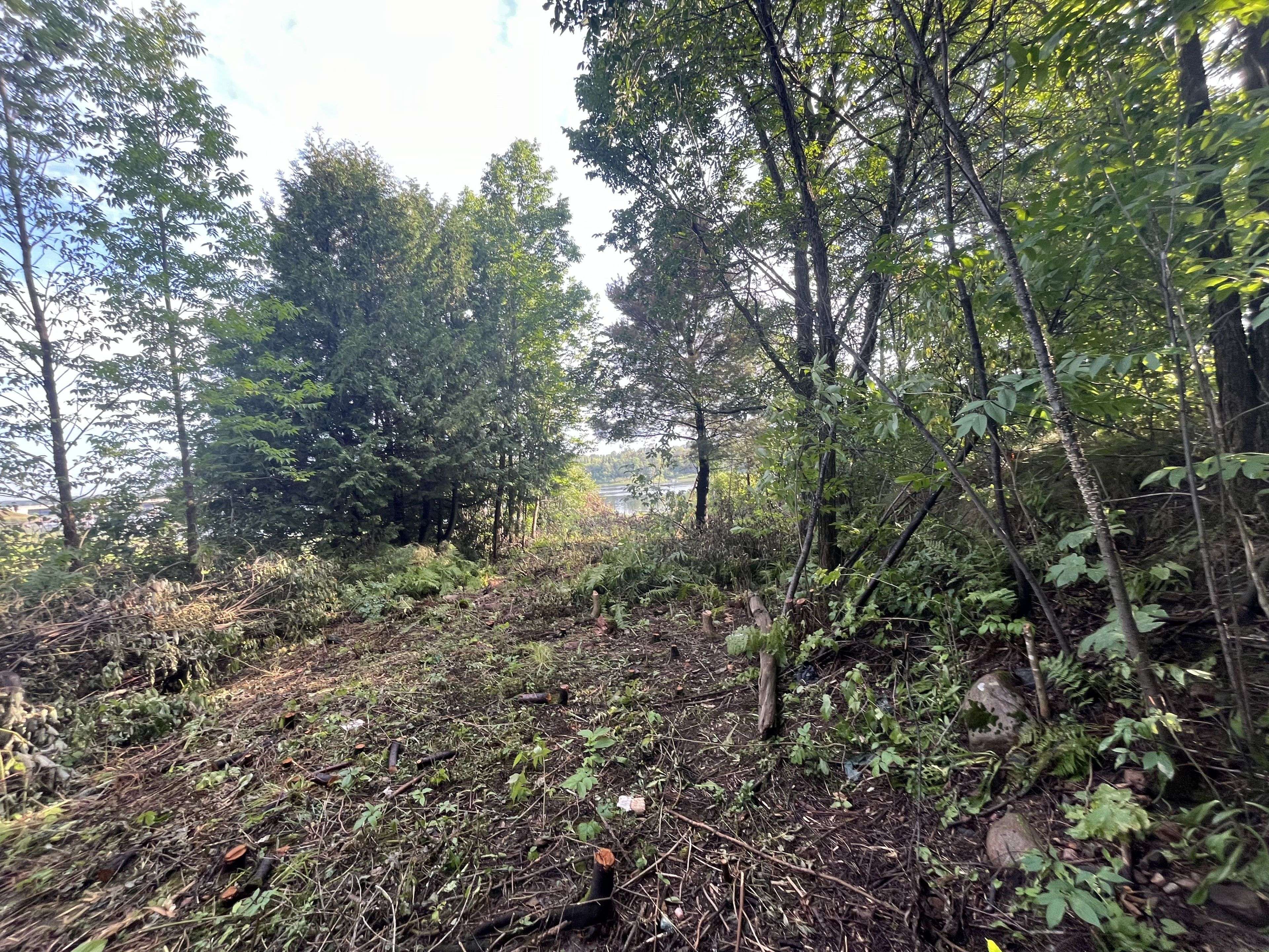 Timiskaming, ON P0J 1G0,33 Third ST E