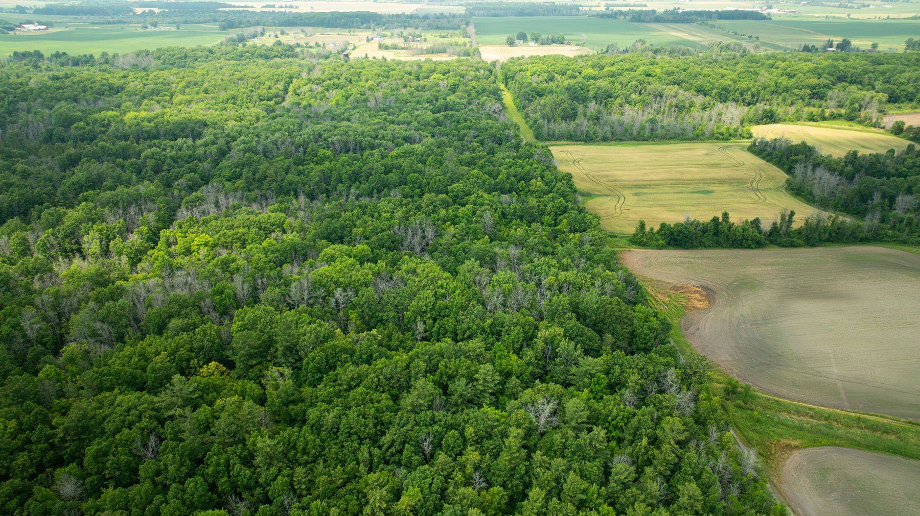 Loyalist, ON K0H 1G0,Lot C Townline RD