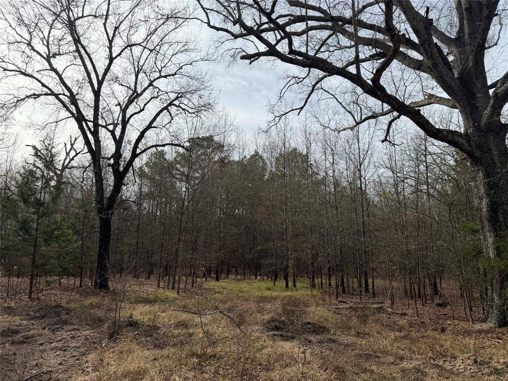 Clarksville, TX 75426,TBD Hwy 37