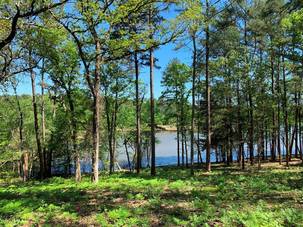 Frankston, TX 75763,000 FM-3506