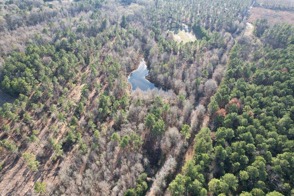 Beckville, TX 75631,TBD-C County Road 216