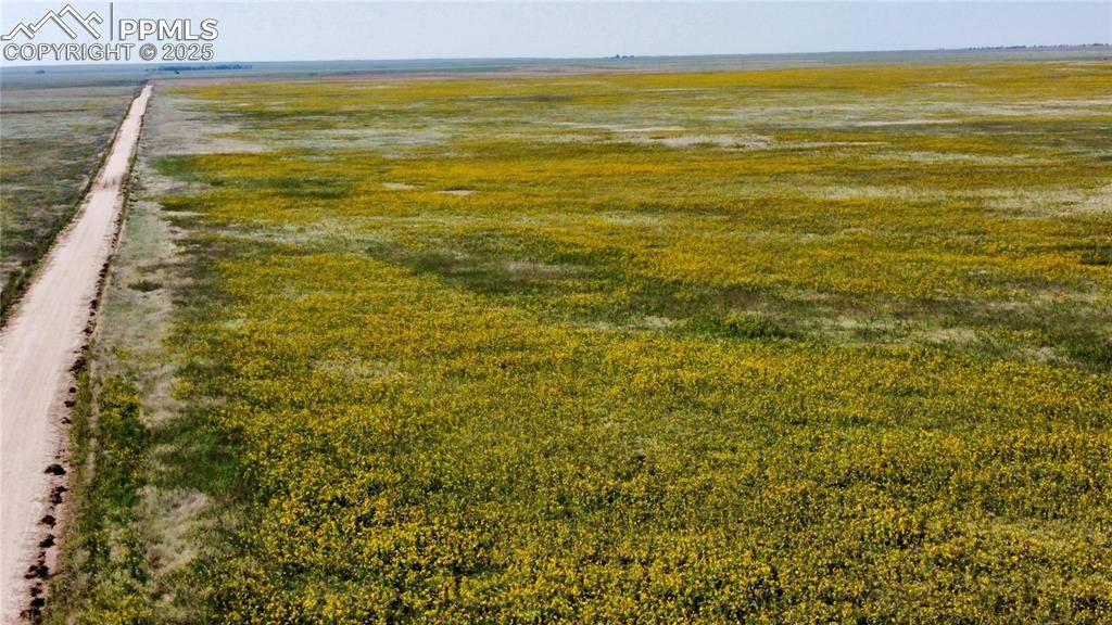 Matheson, CO 80830,County Road 22