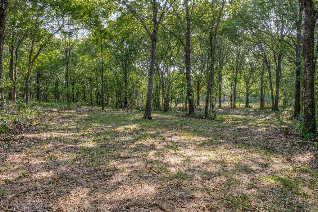 6650 State Hwy 56 Highway, Bells, TX 75414