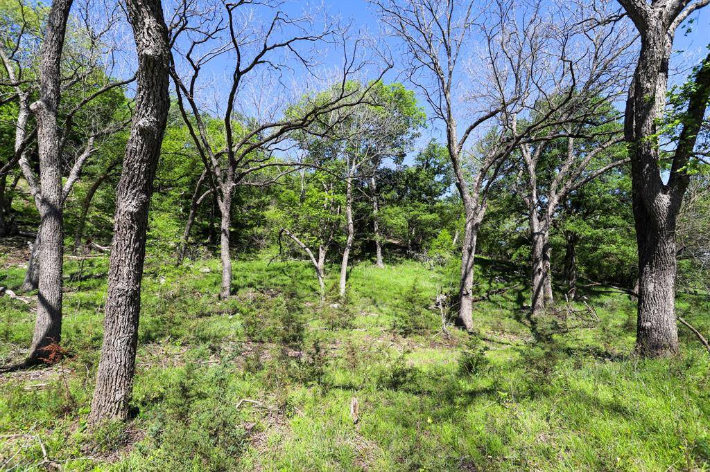 Moody, TX 76557,tbd Oglesby Neff Park Road