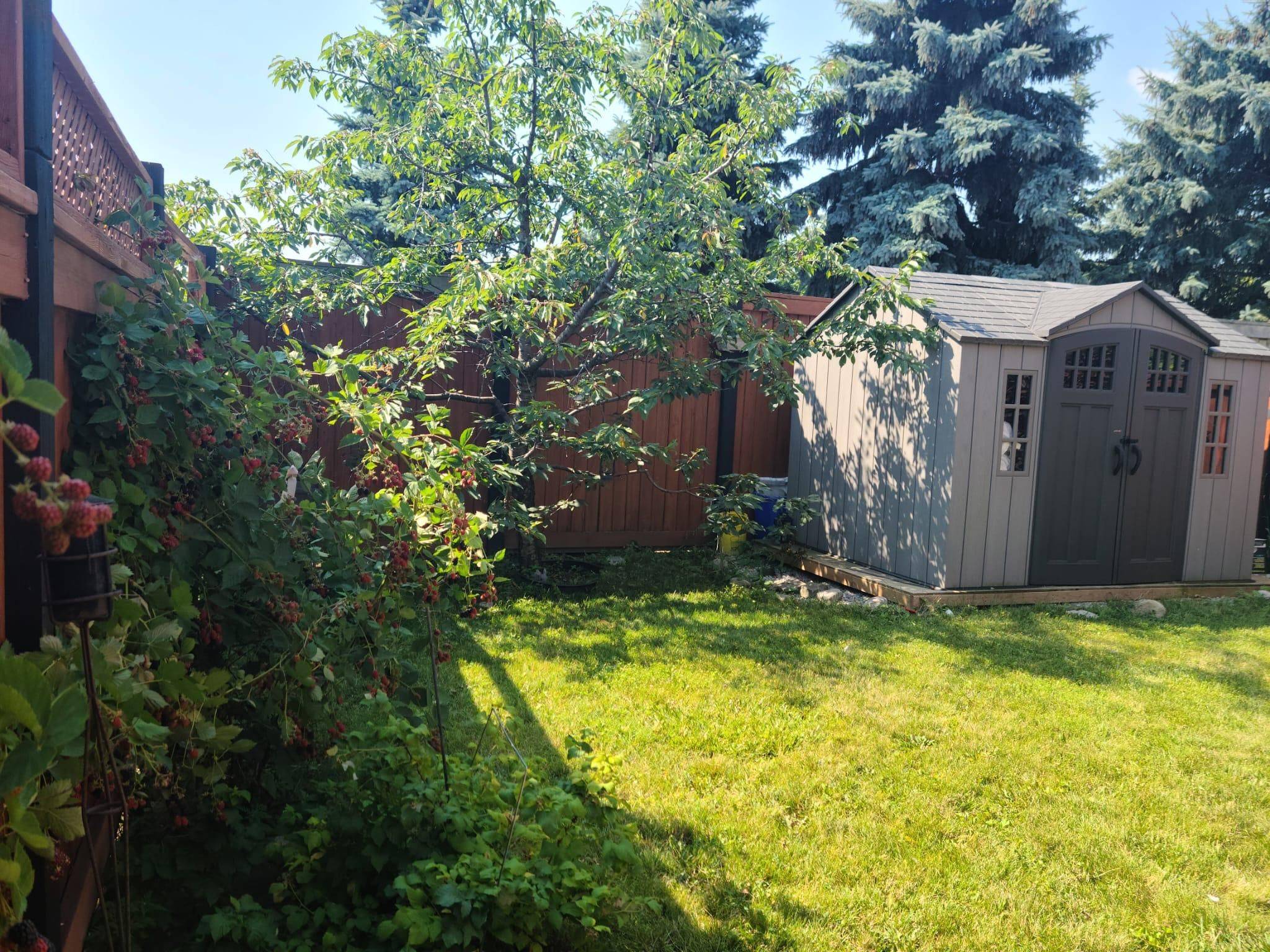 Vaughan, ON L6A 3W4,1 Jarrett CT #Upper