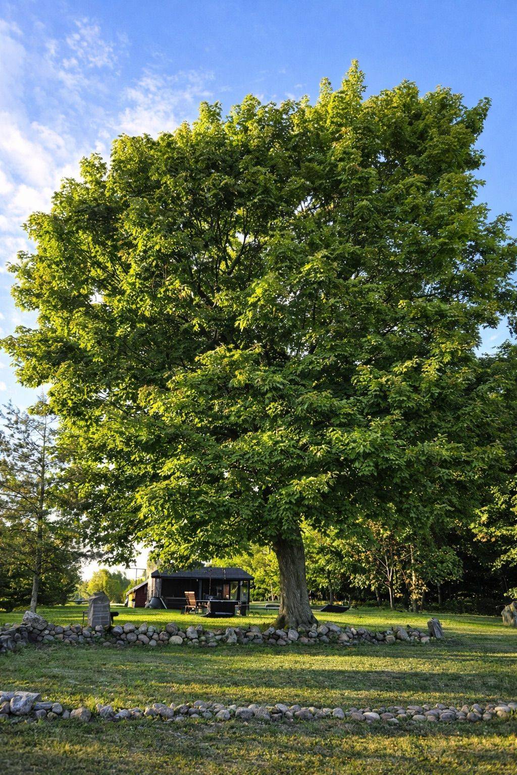 Alnwick/haldimand, ON K9A 4J8,635 Northumberland Heights RD