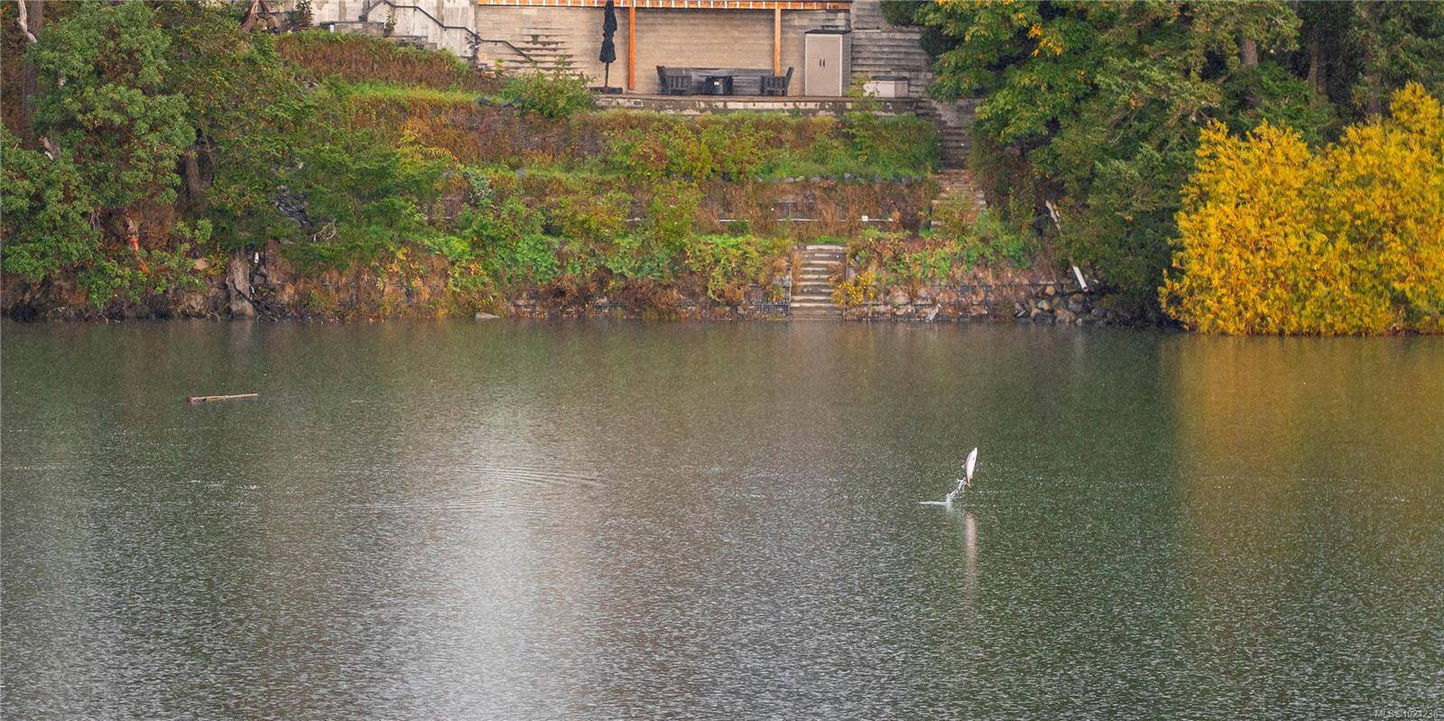 View Royal, BC V9B 1V6,1 Buddy Rd #304
