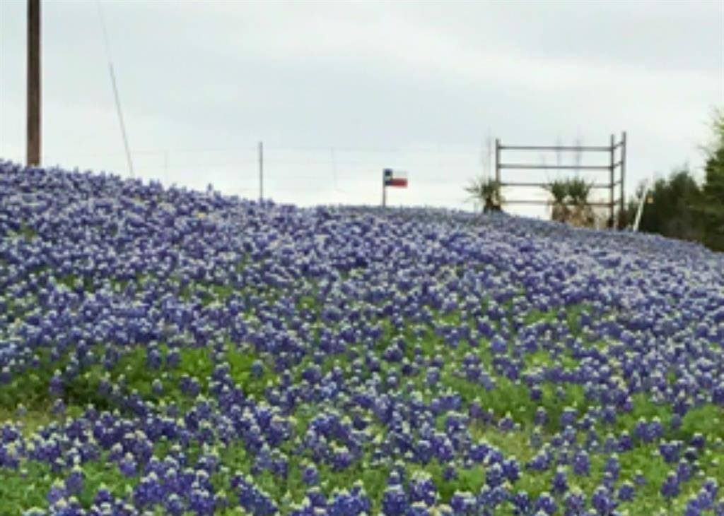 637 Snap Road, Sherman, TX 75090