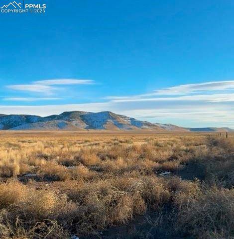 County Road 21, Manassa, CO 81141