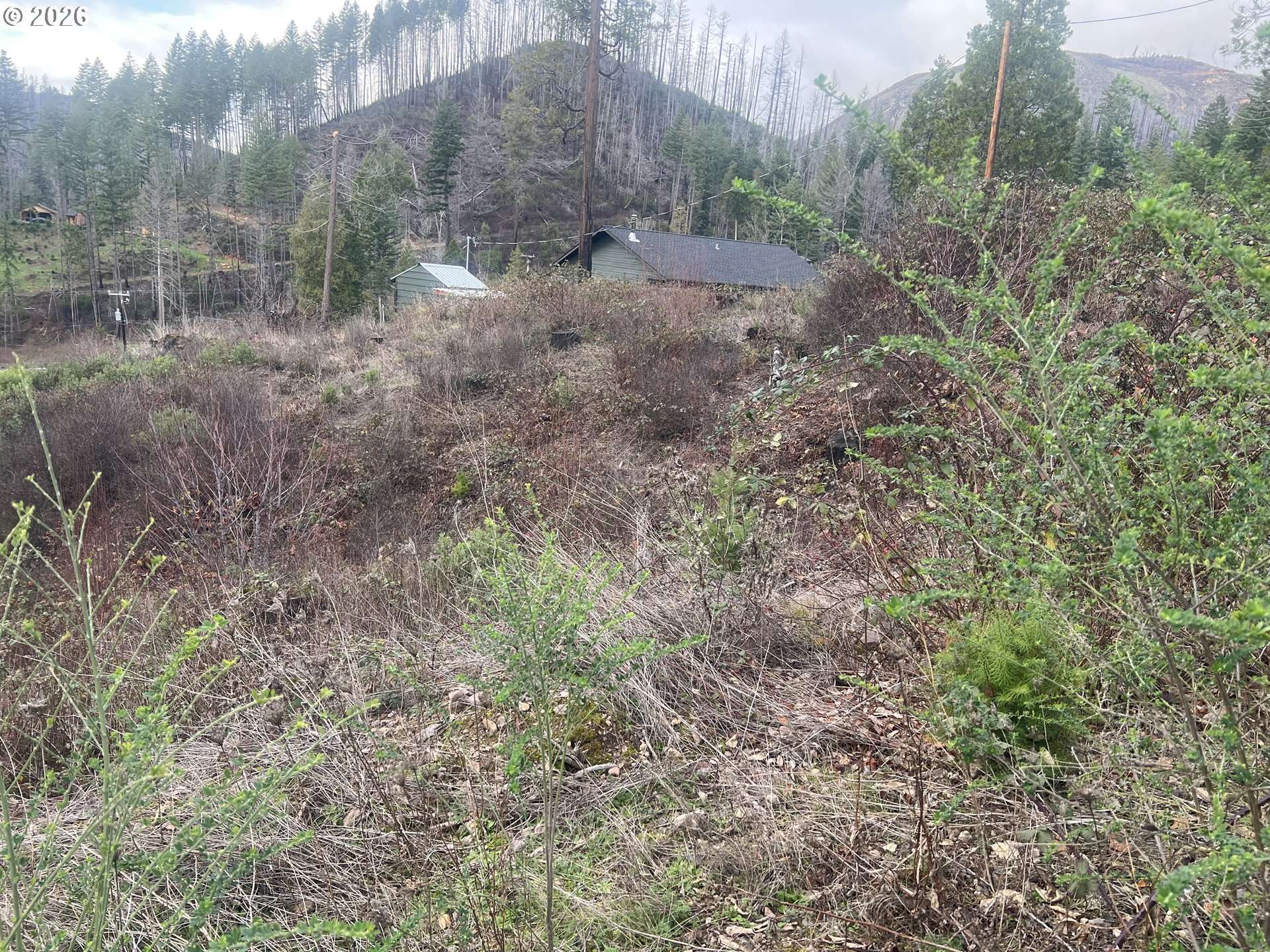 Idleyld Park, OR 97447,EVERGREEN LN