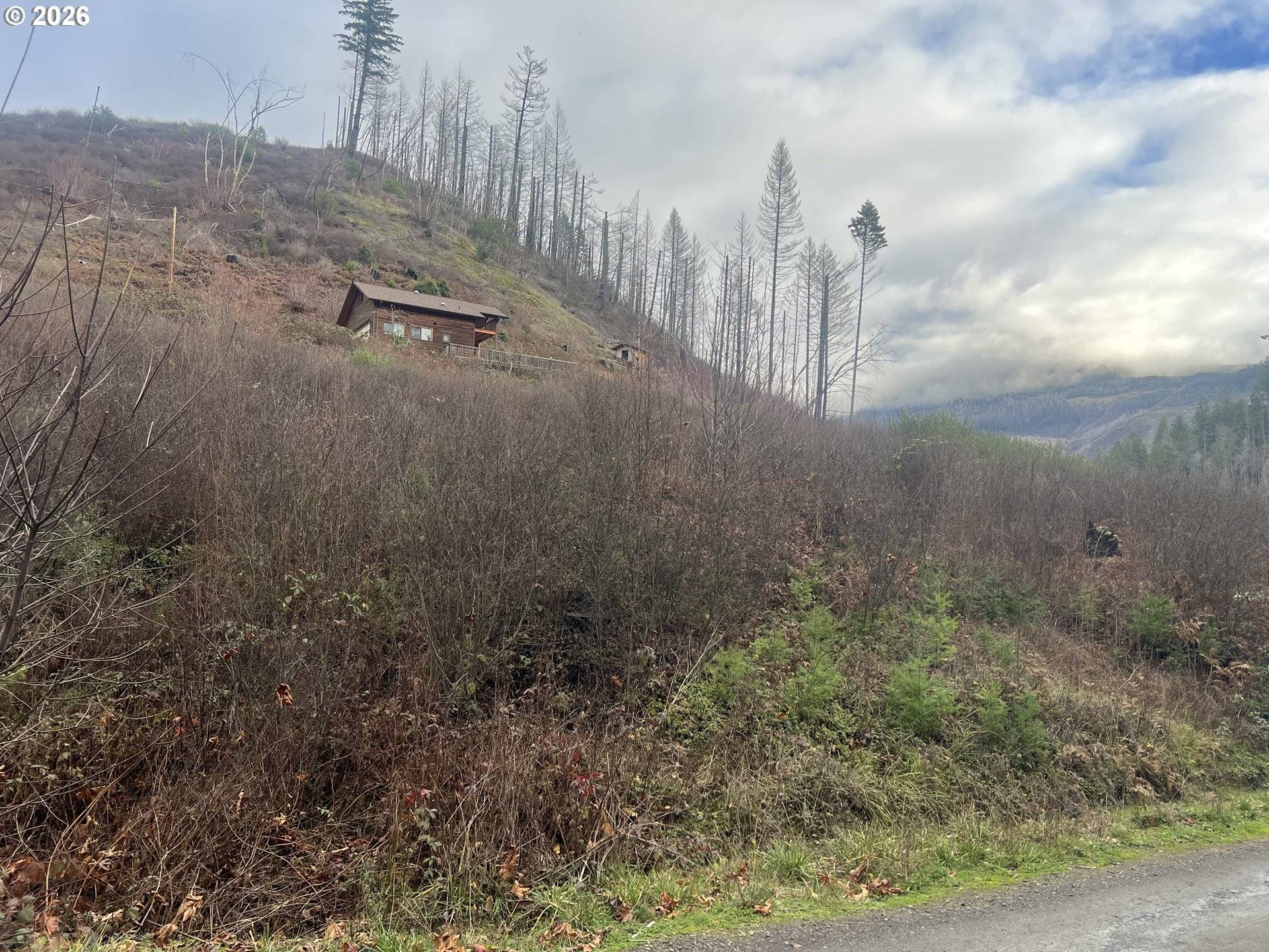 Idleyld Park, OR 97447,EVERGREEN LN