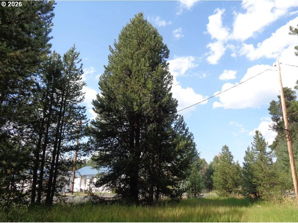 Crescent, OR 97733,8800 Main ST #2