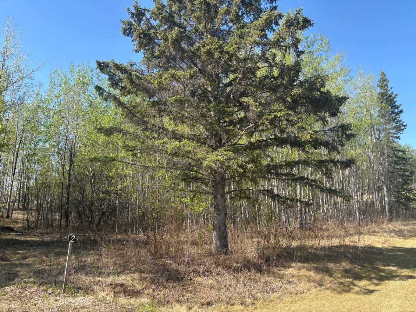 Rural Athabasca County, AB T9S 2A8,660023 Range Road 224 ##2