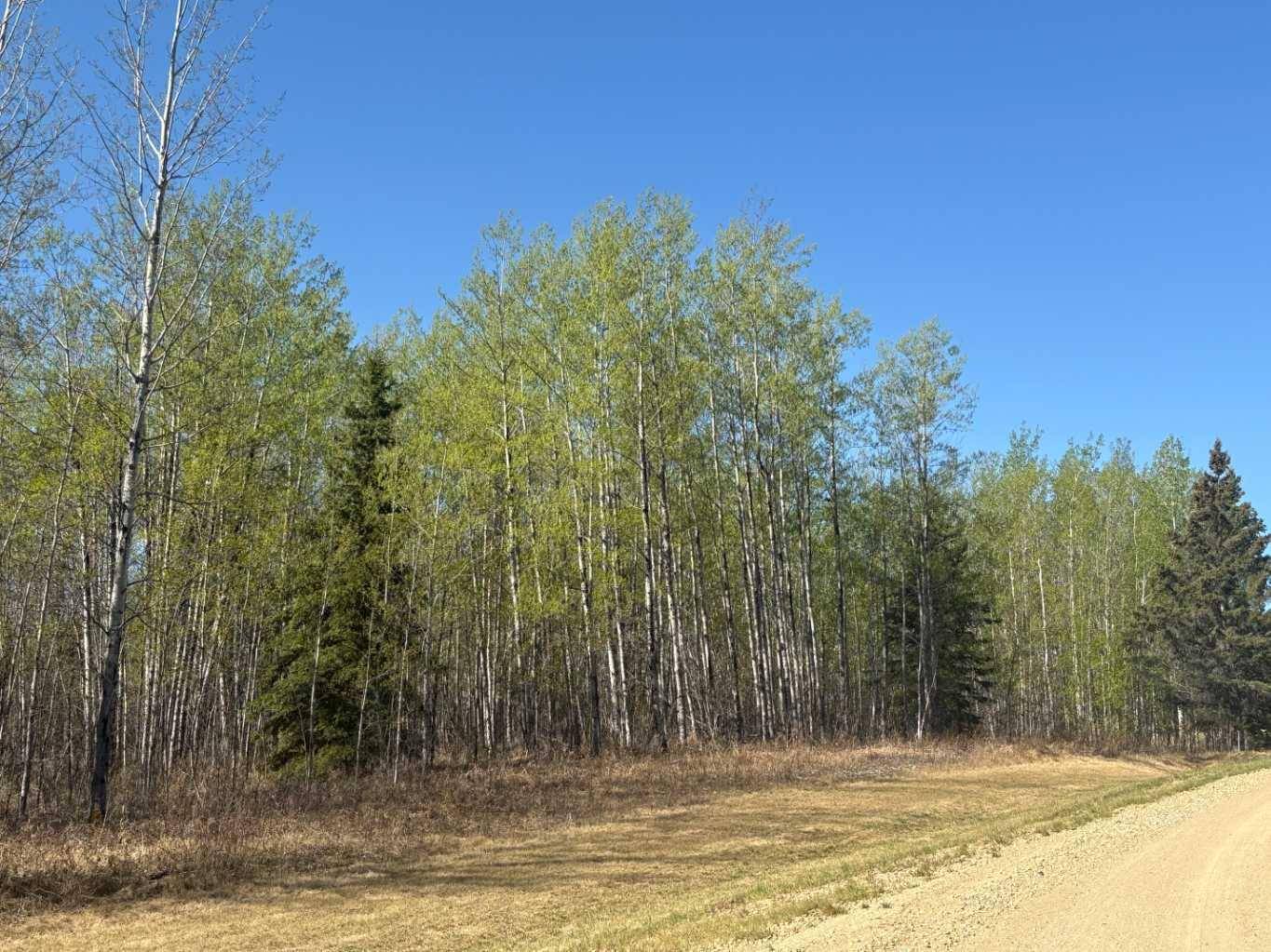 Rural Athabasca County, AB T9S 2A8,660023 Range Road 224 ##2