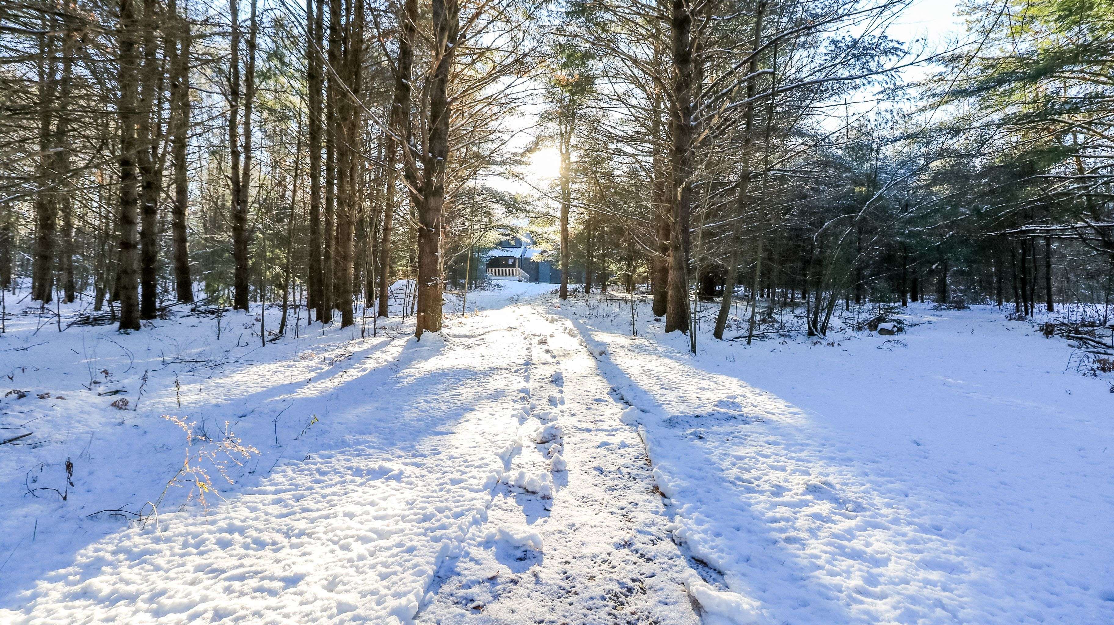 Severn, ON L0K 2B0,4033 Boyd RD