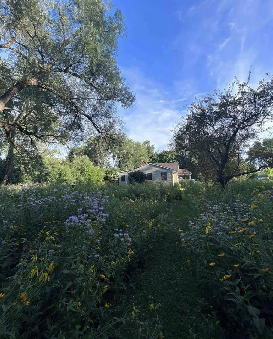 Ann Arbor, MI 48108,3155 La Salle DR