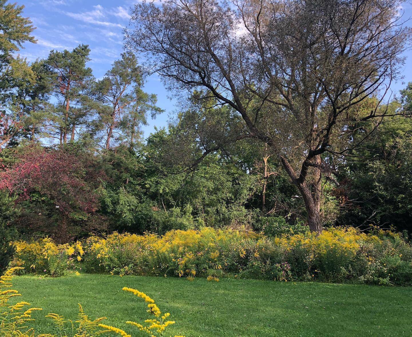 Ann Arbor, MI 48108,3155 La Salle DR