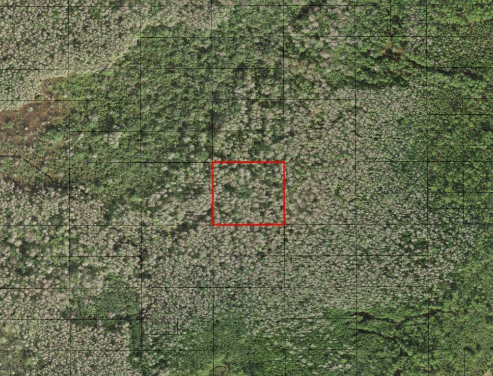 St. Cloud, FL 34772,0 HOLOPAW GROVES RD