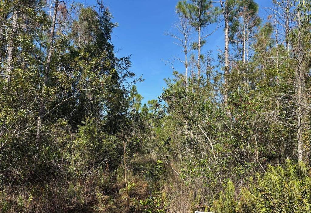 St. Cloud, FL 34772,0 HOLOPAW GROVES RD