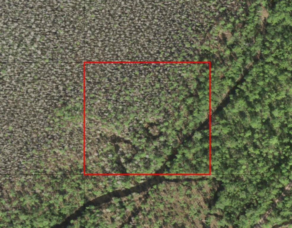 St. Cloud, FL 34772,0 HOLOPAW GROVES RD