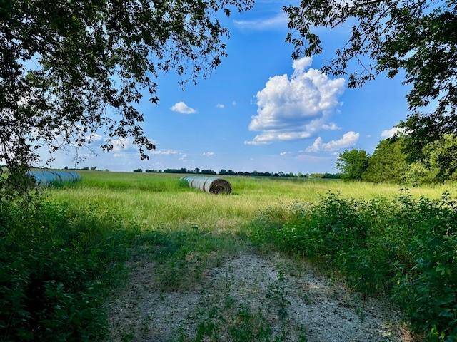 Bailey, TX 75413,TBD 19.933AC TX-11