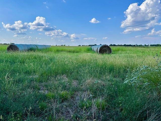 Bailey, TX 75413,TBD 19.933AC TX-11