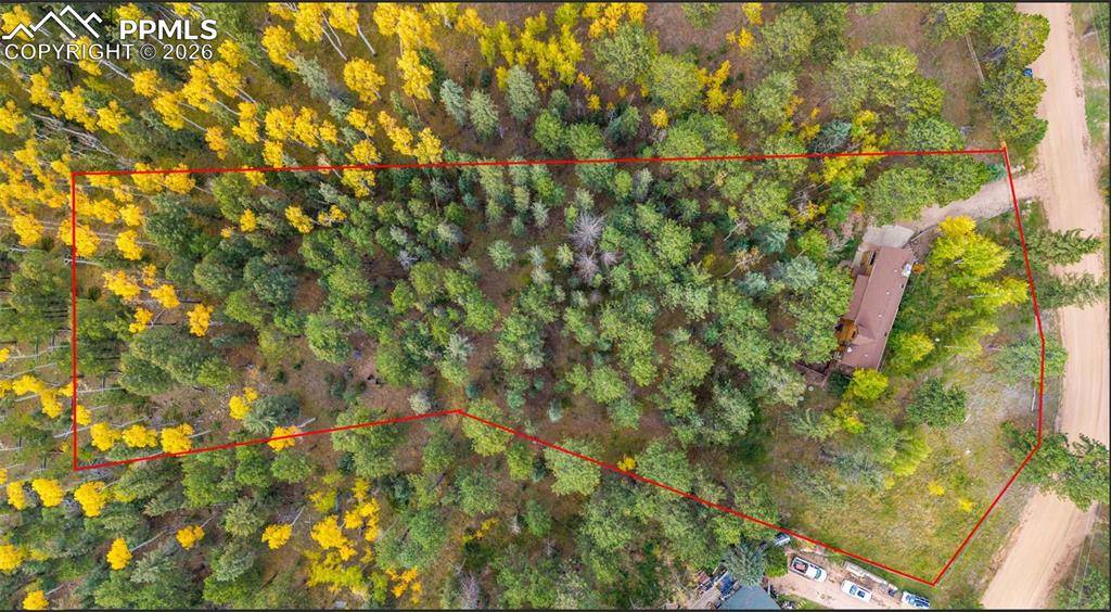 Woodland Park, CO 80863,219 Pennsylvania AVE