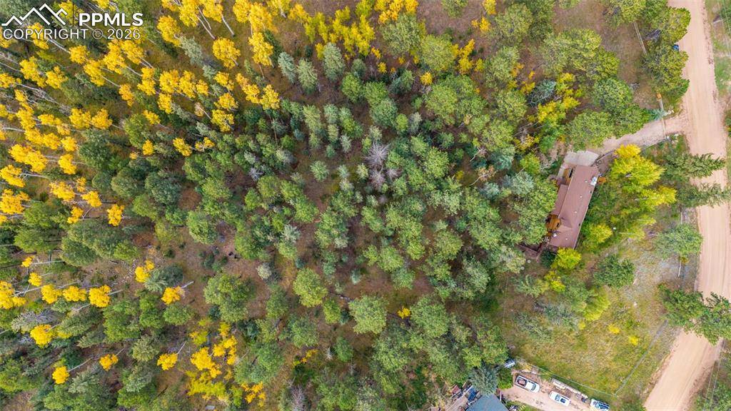 Woodland Park, CO 80863,219 Pennsylvania AVE