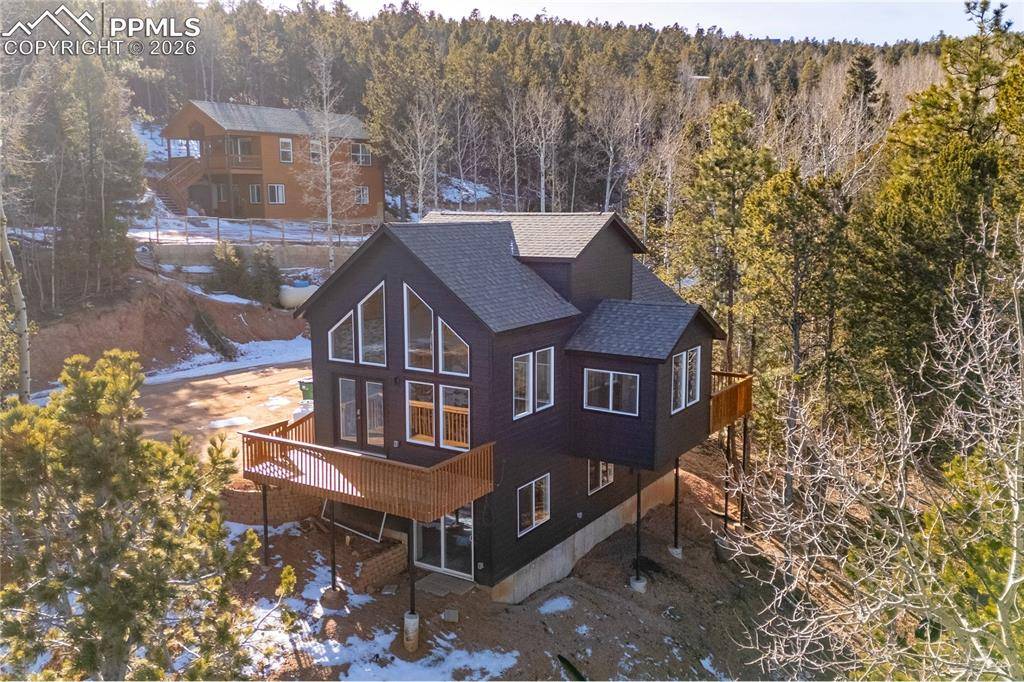 Woodland Park, CO 80863,63 Iowa LN