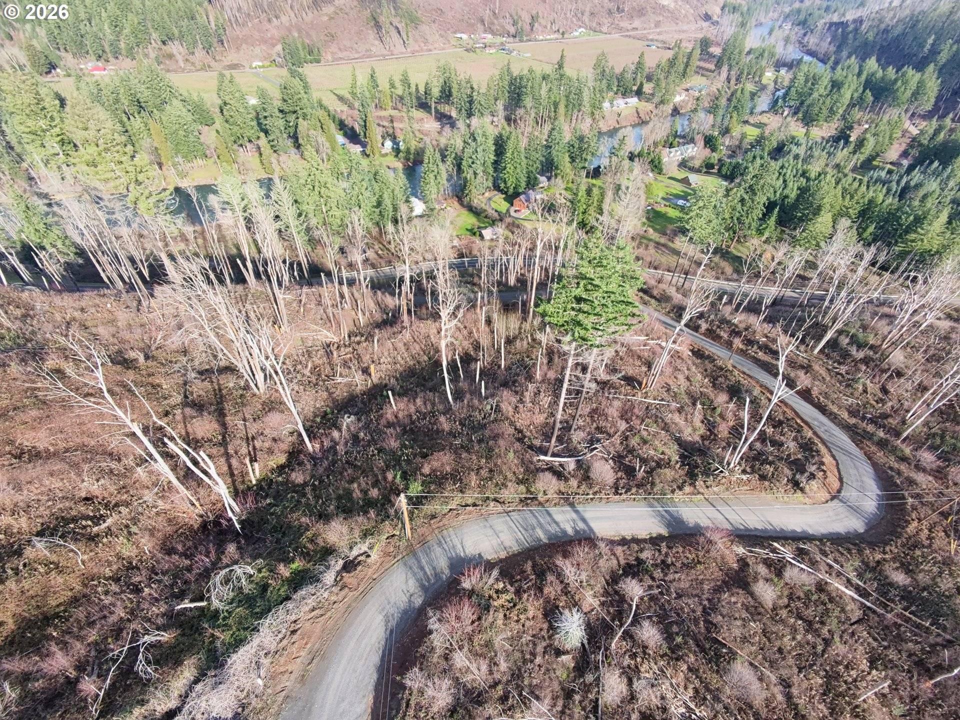 Vida, OR 97488,Cascade View #1