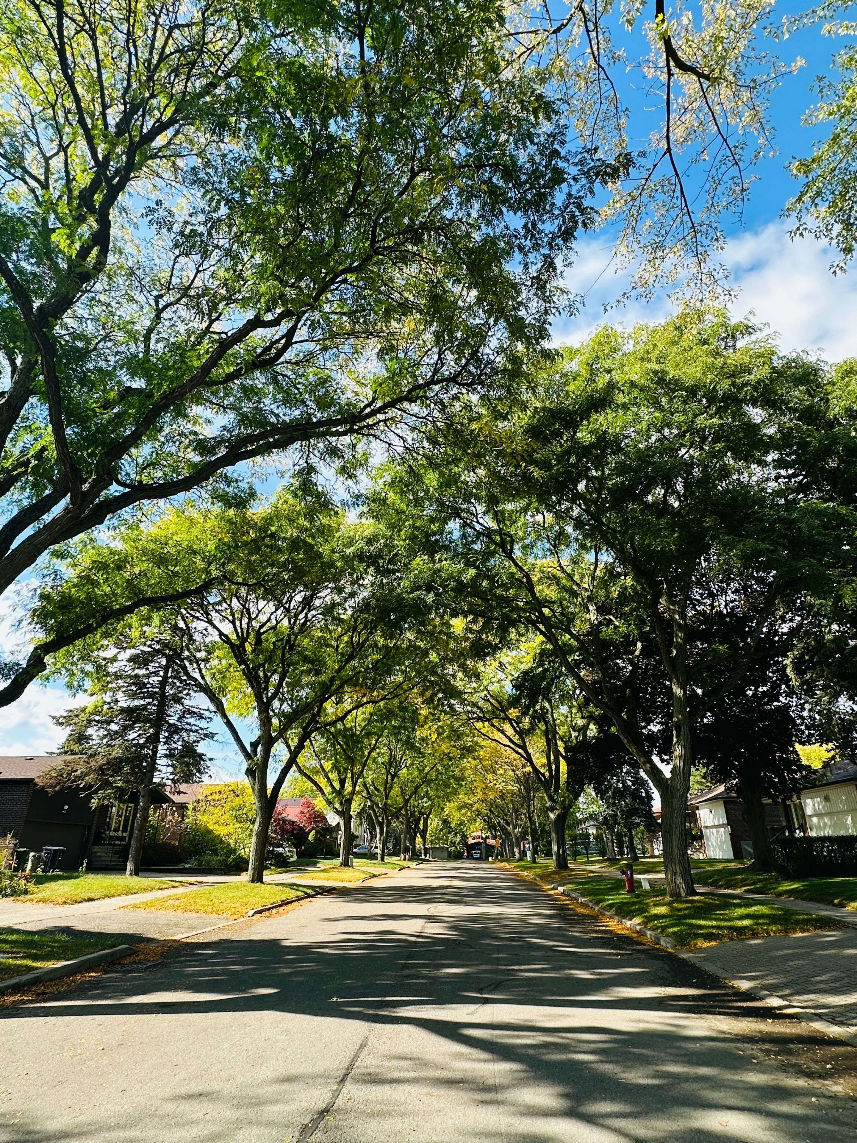 Toronto C15, ON M2H 1E4,62 Bernick RD